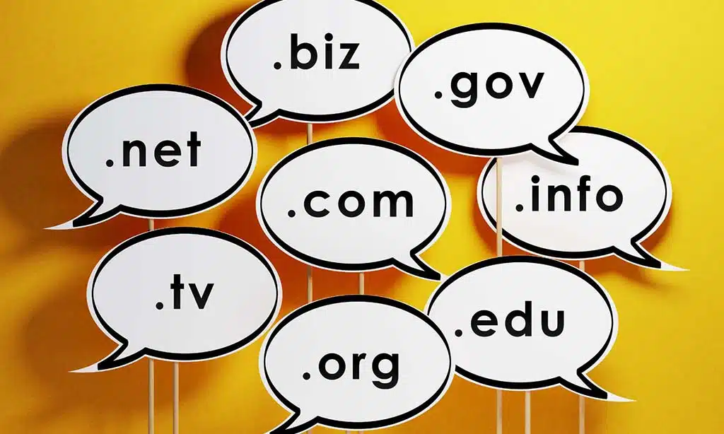 Choose the Right Domain Extension