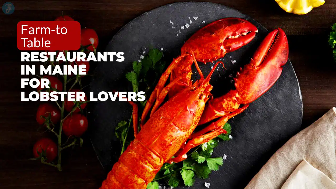 Farm-to-Table Restaurants In Maine For Lobster Lovers