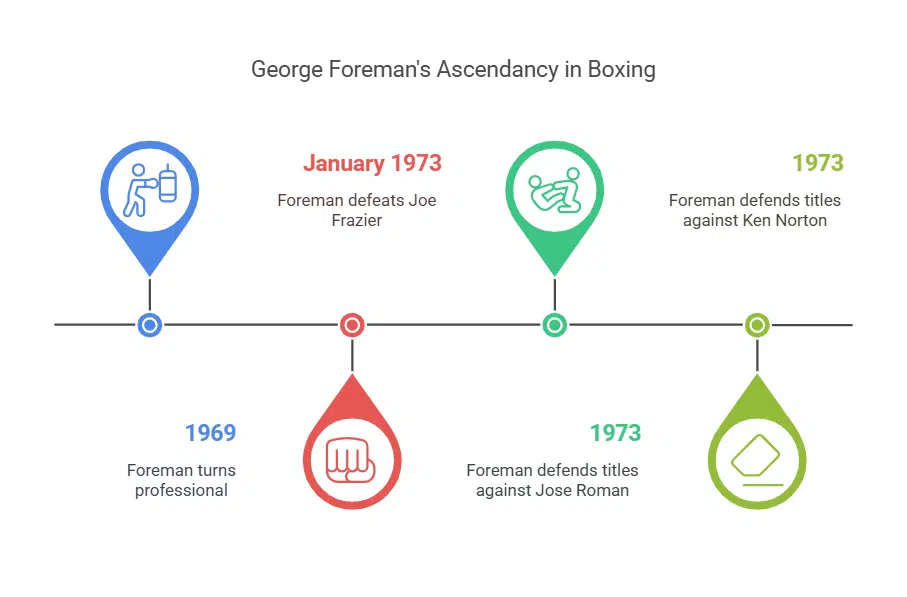 Rise to the Top of Professional Boxing