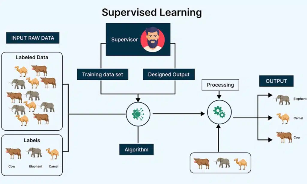 Supervised Learning Algorithms