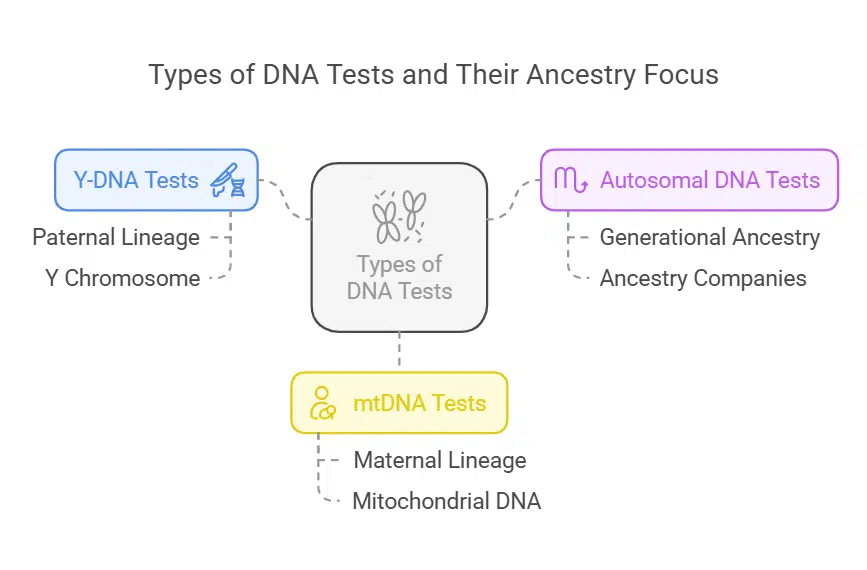 Types of DNA Tests