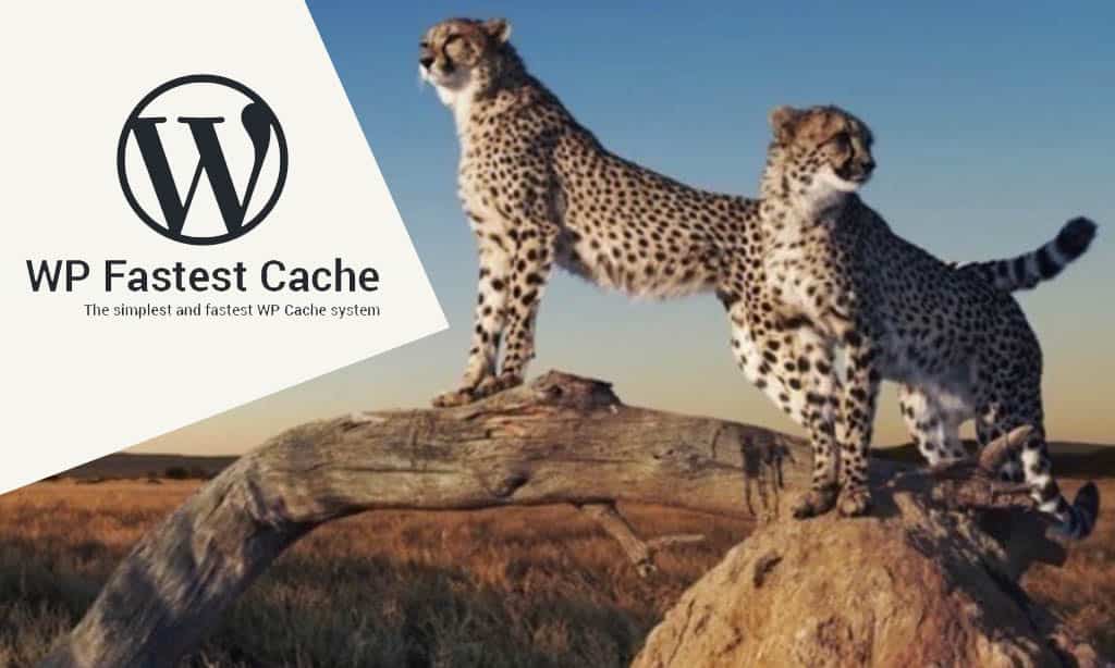 WP Fastest Cache – User-Friendly Speed Booster