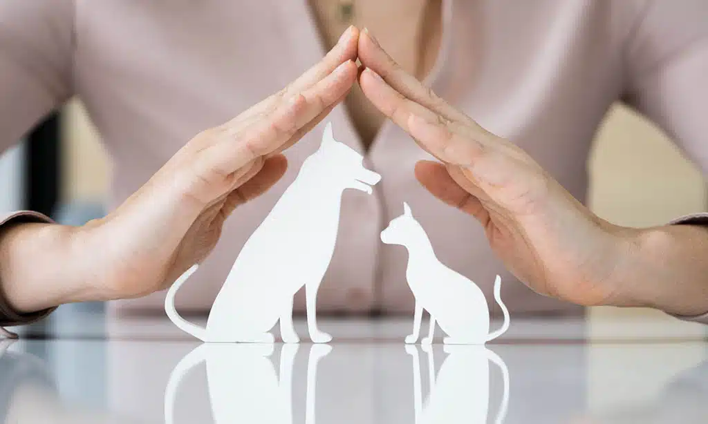 What Is Pet Insurance