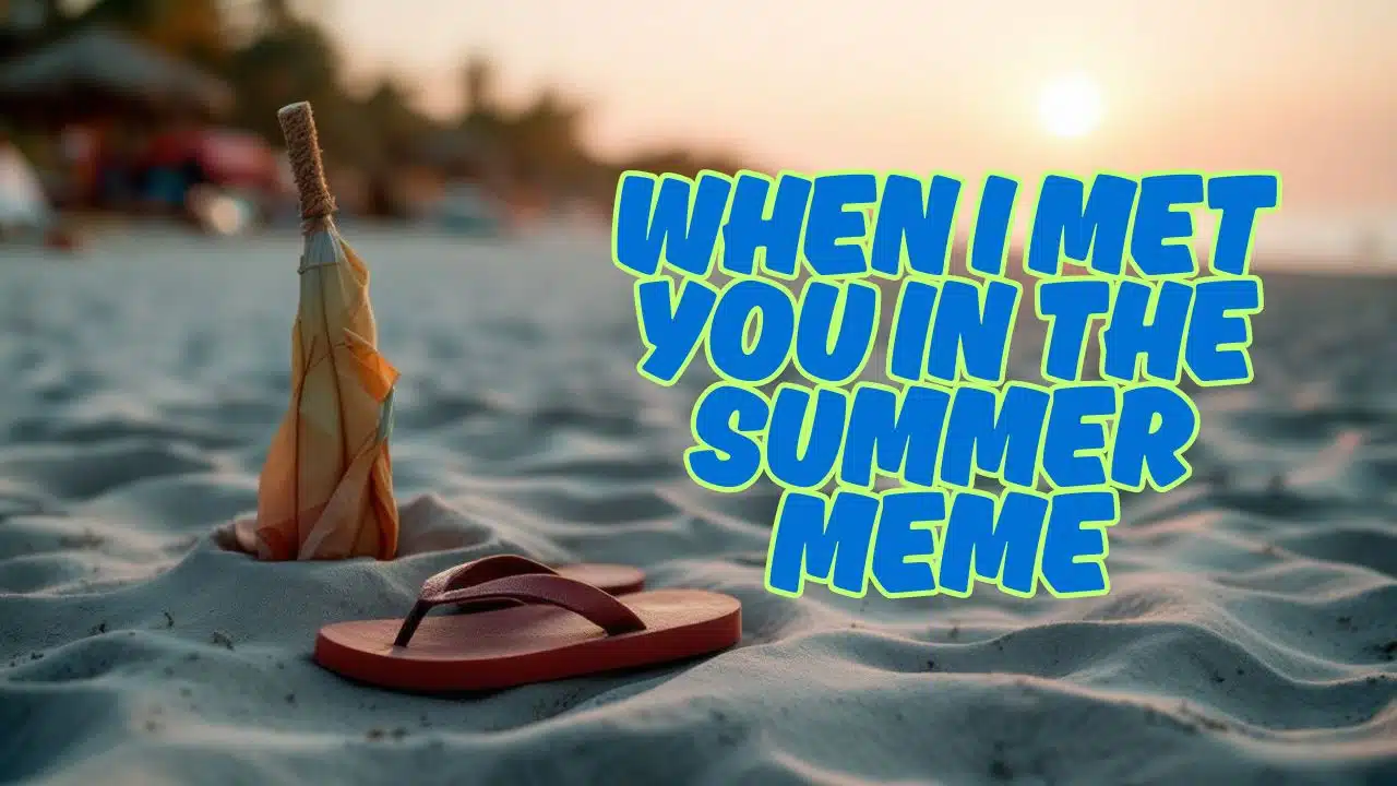When I Met You in The Summer Meme