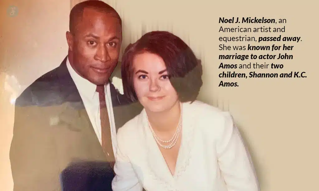 noel j. mickelson bio