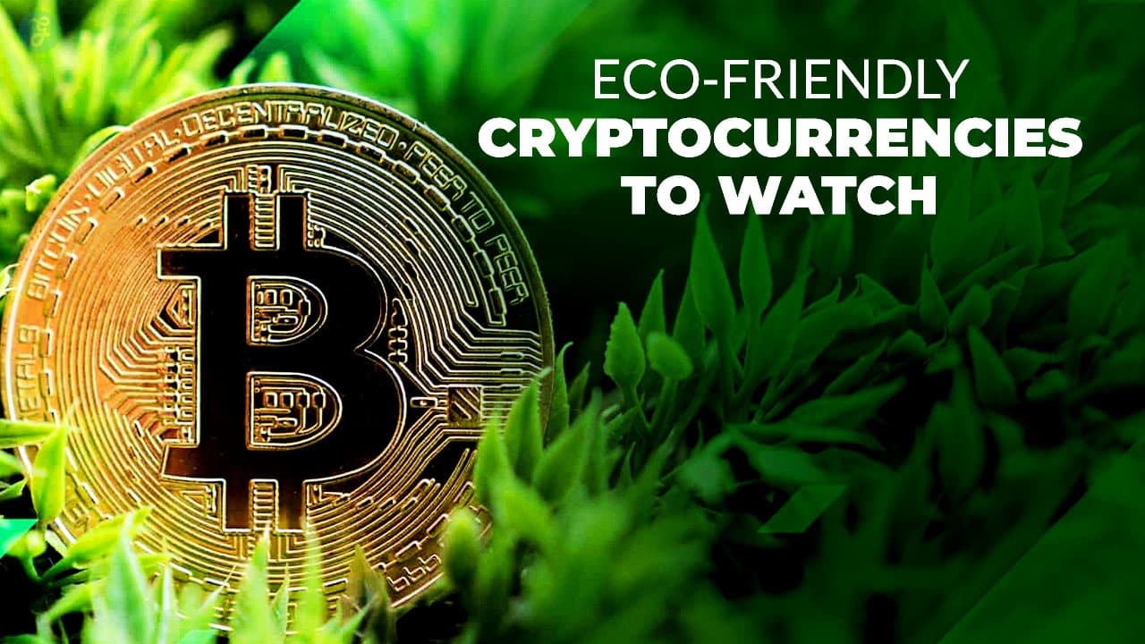 Eco-Friendly Cryptocurrencies To Watch