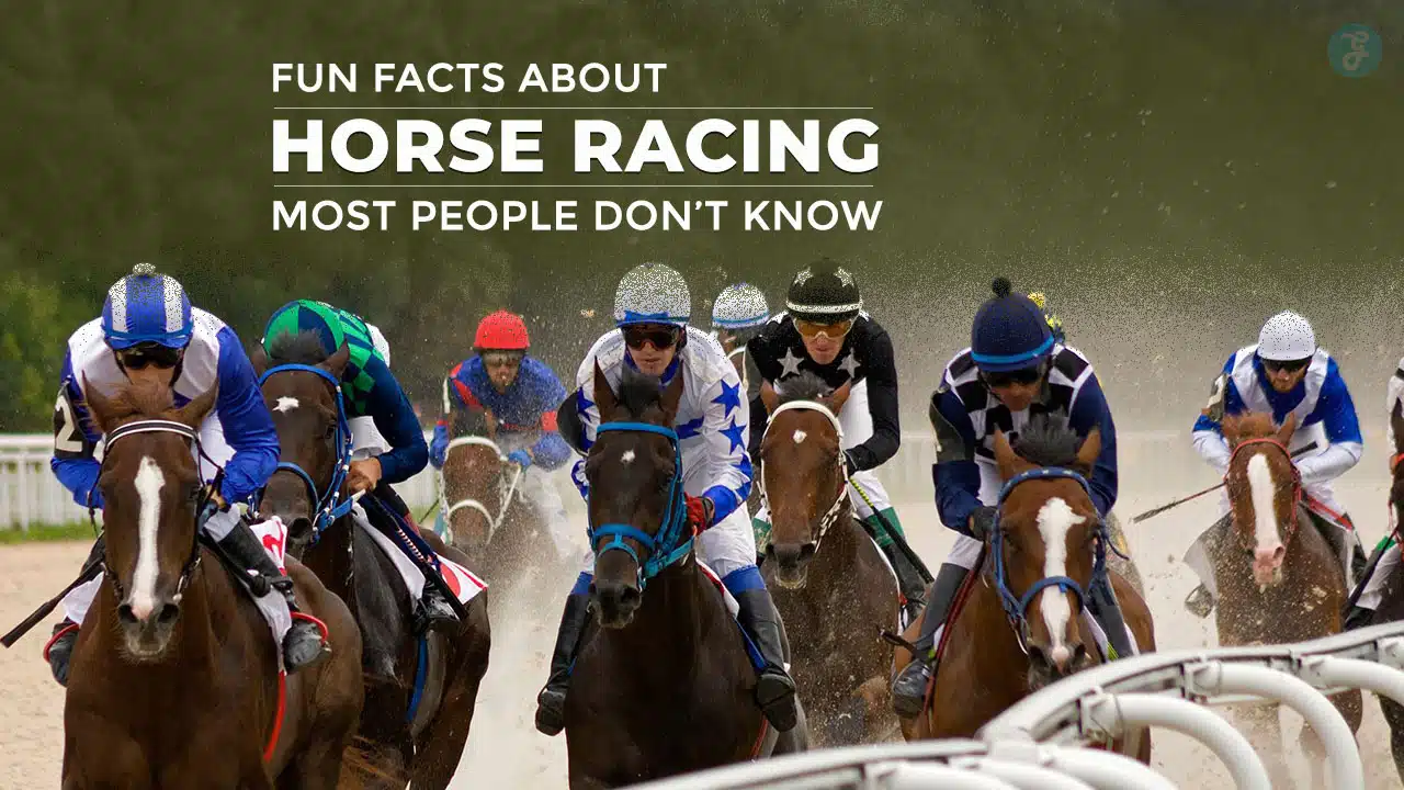 Fun Facts About Horse Racing