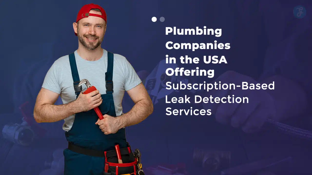 Plumbing Companies Offering Subscription-Based Leak Detection