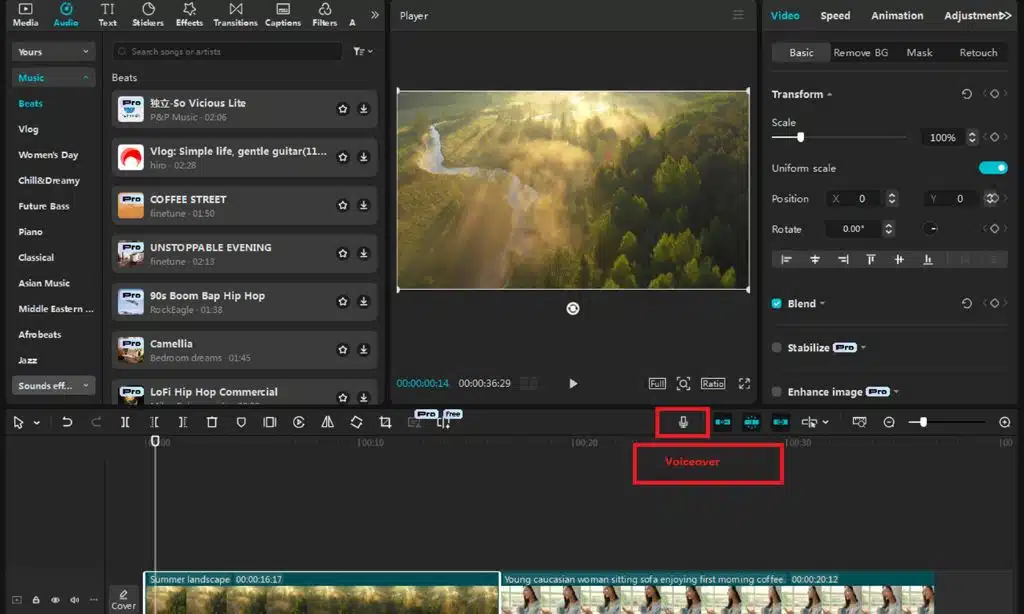 Add Voiceover or Narration