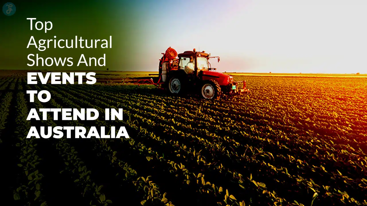 Agricultural Shows And Events To Attend In Australia