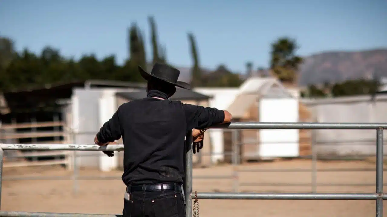 Challenging Unlawful Stops And Searches In East Bay