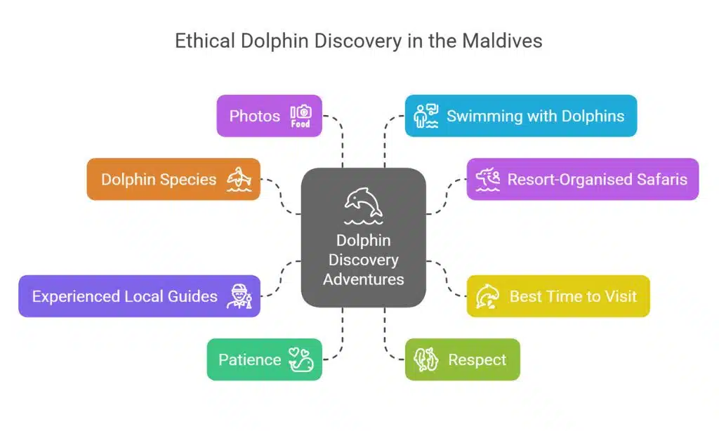 Choose an Experienced Local Guide