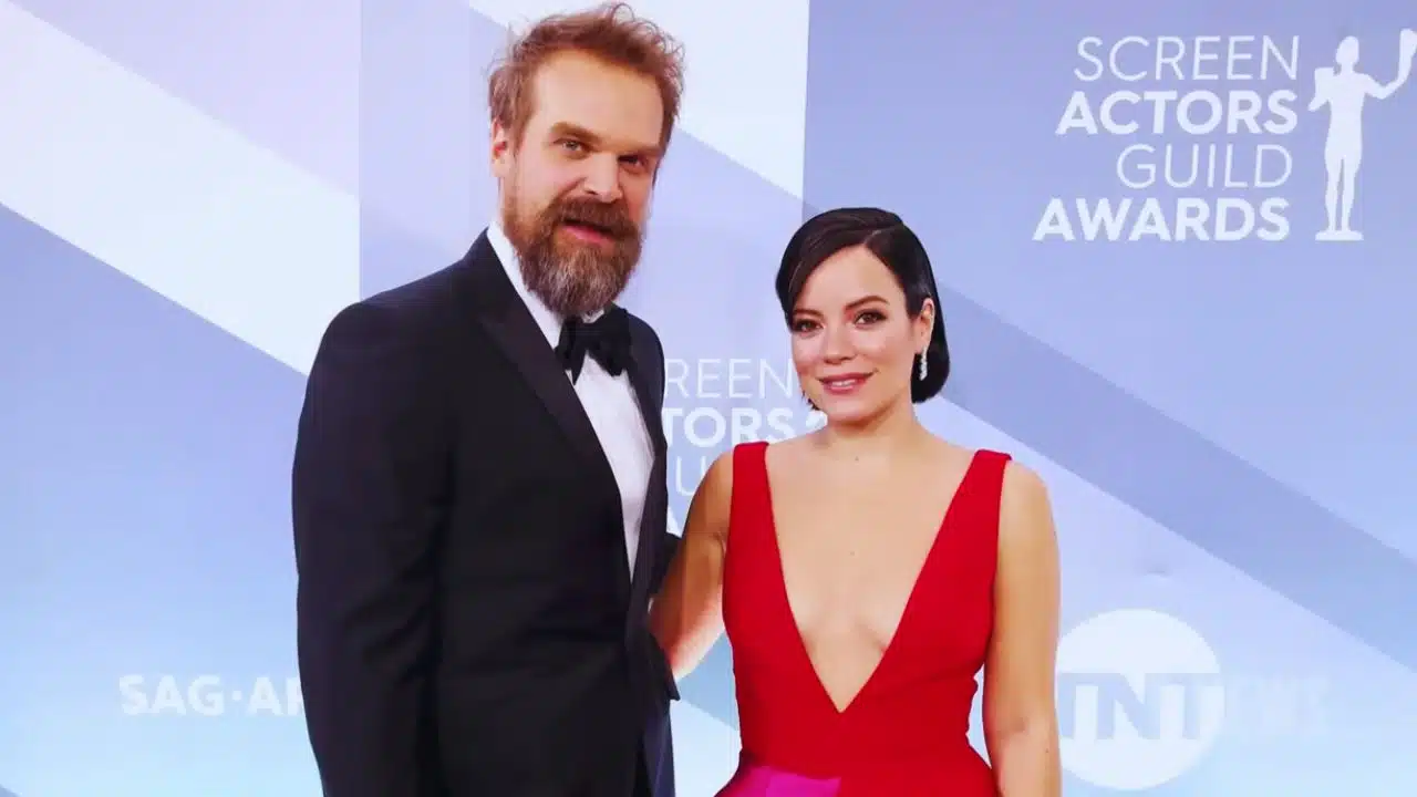 David Harbour Lily Allen split