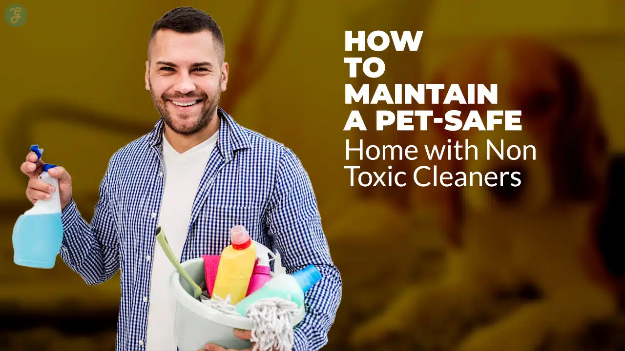 How to Maintain a Pet-Safe Home with Non-Toxic Cleaners