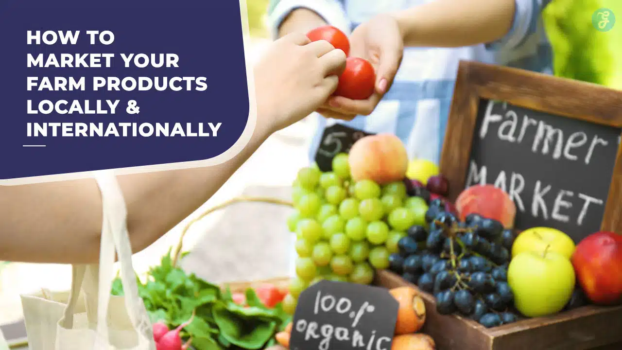 How to Market Your Farm Products Locally and Internationally