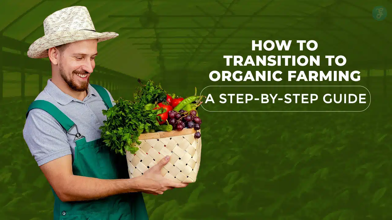 How to Transition to Organic Farming