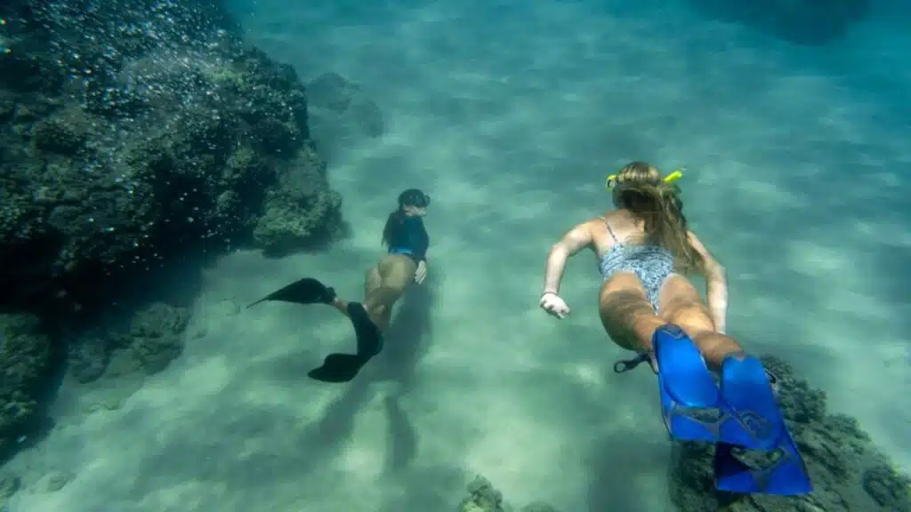 Marine Life Adventures for Families for an Unforgettable Maldives