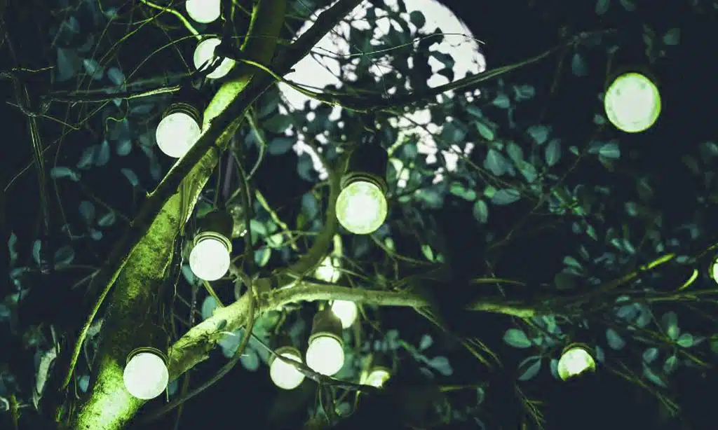 LED Lighting Systems for Sustainable Illumination