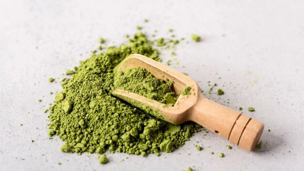 Moringa’s Bioactive Compounds
