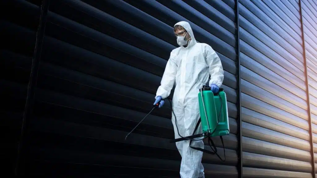 Pest Control in Orlando