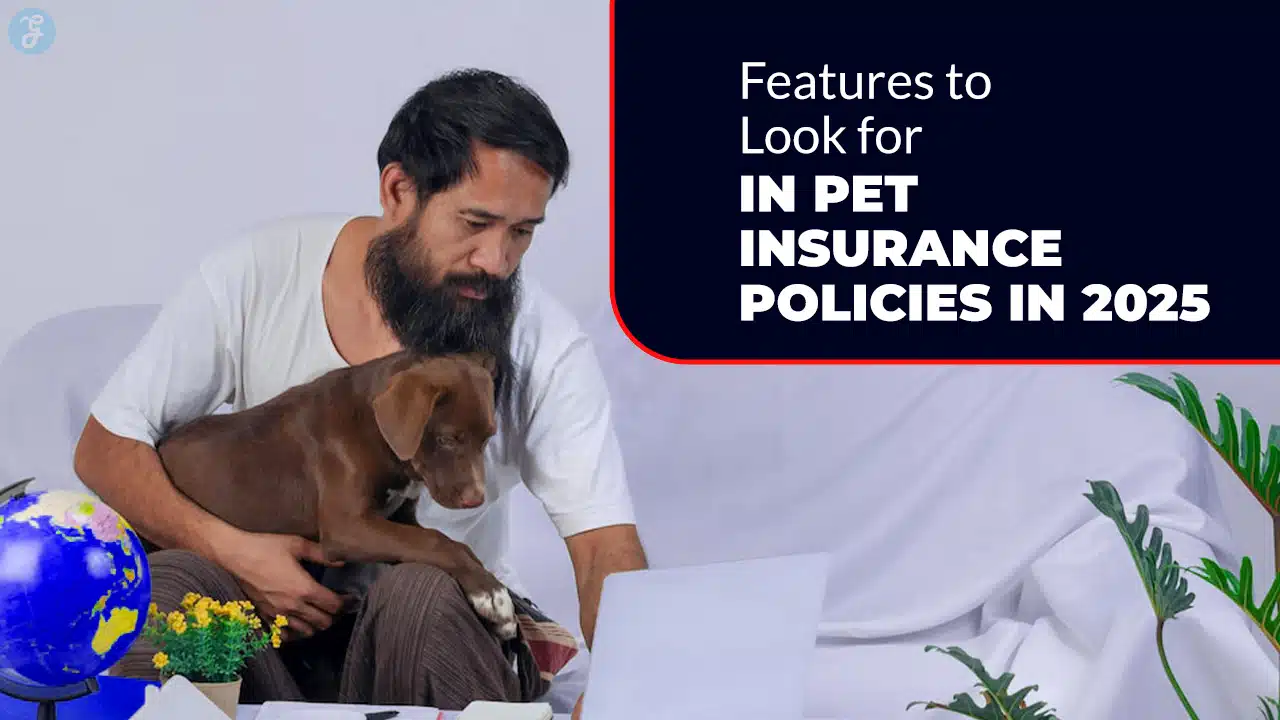 Pet Insurance Policies