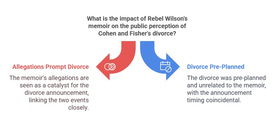 Rebel Wilson’s Memoir Brings Unwanted Spotlight