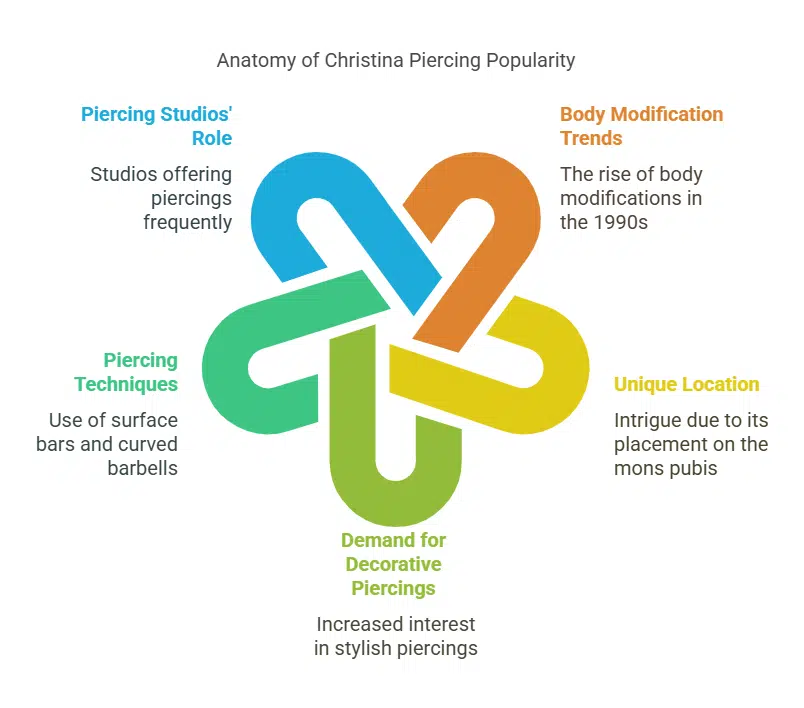 Rise in popularity in the 1990s