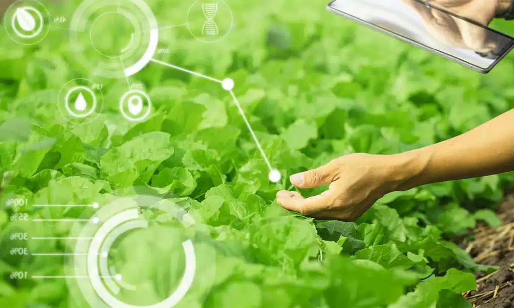 The Importance of Upskilling in Rural Australia