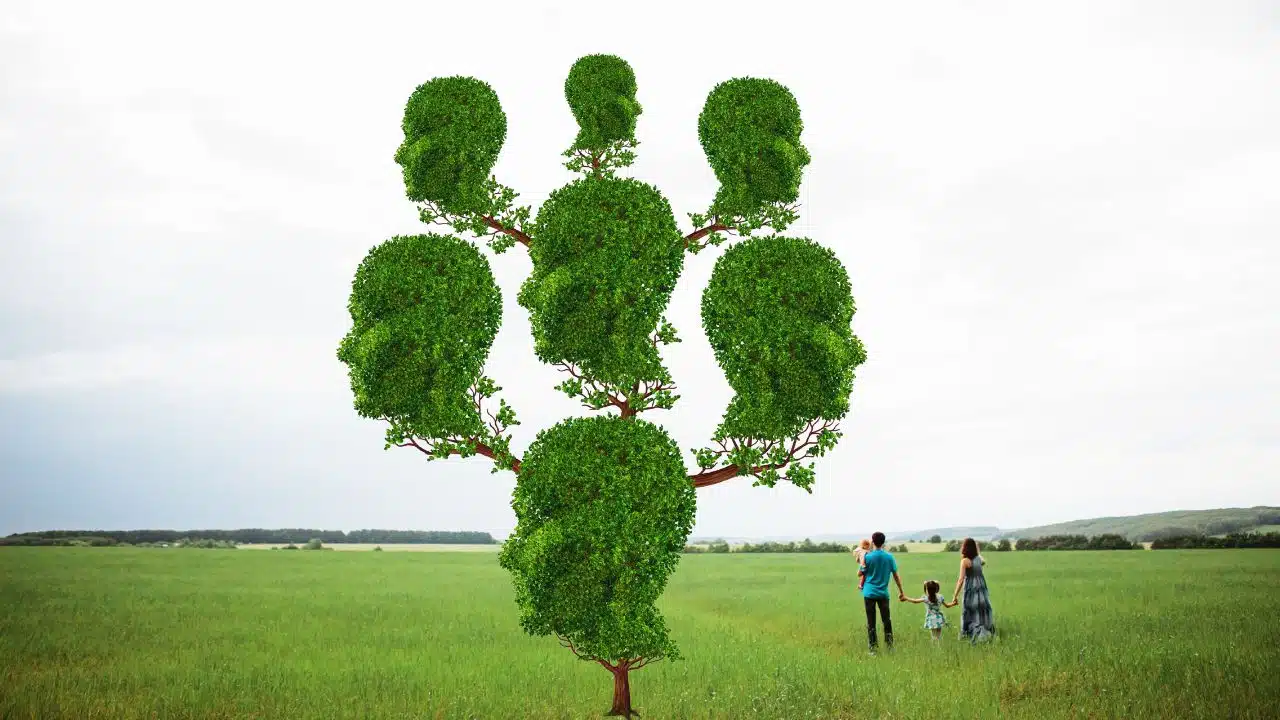 Family History Lessons