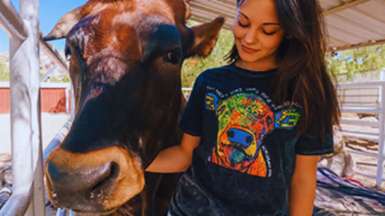 Farm Animal Sanctuary