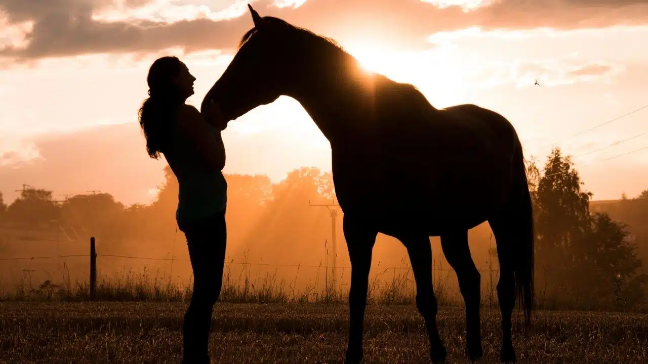 Horse Nutrition and Supplements
