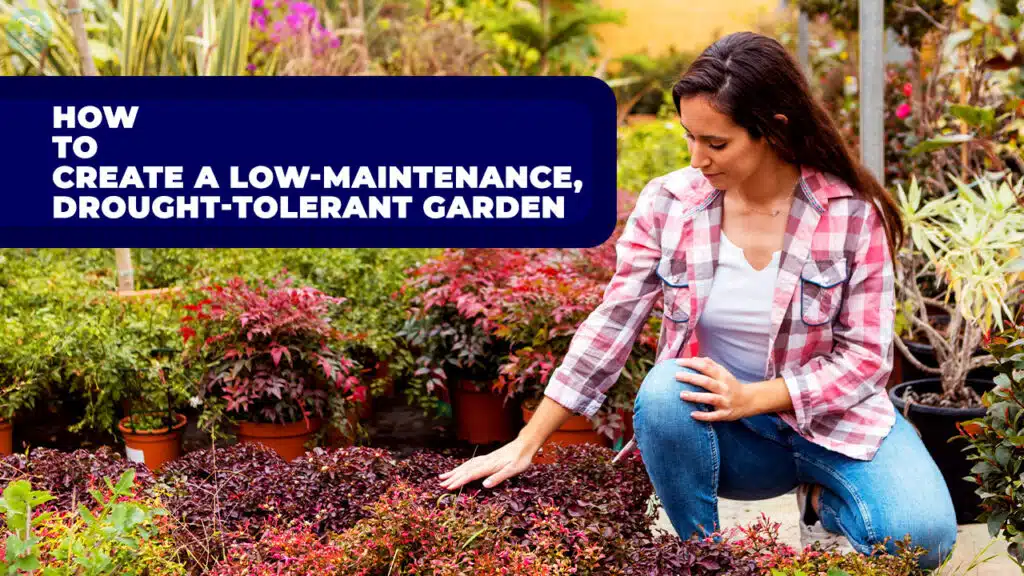 How to Create a Low-Maintenance Garden