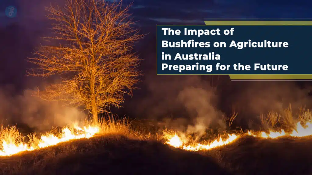 Impact of Bushfires on Agriculture in Australia