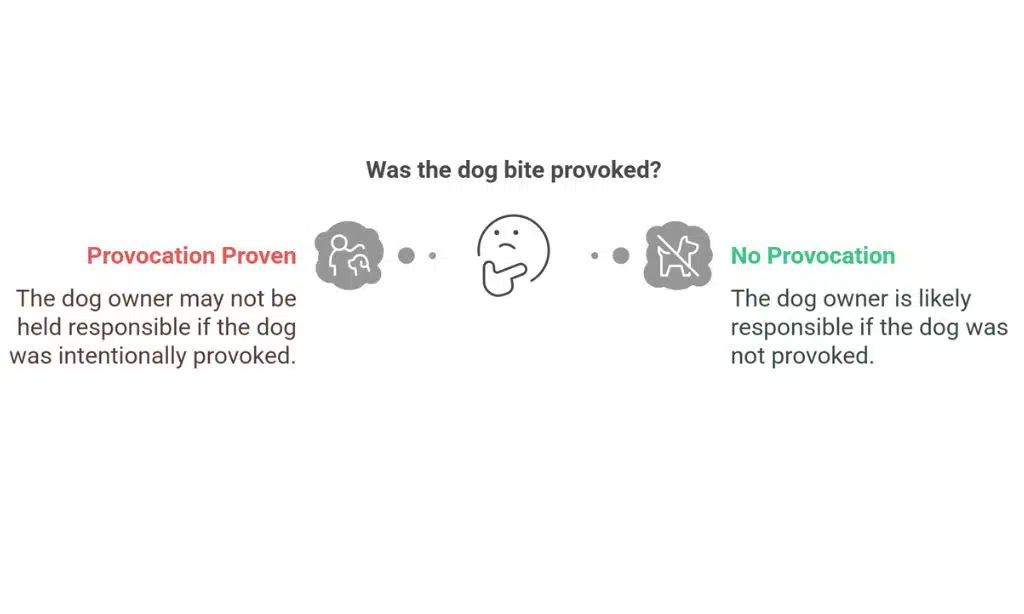 Provocation as a Legal Defense