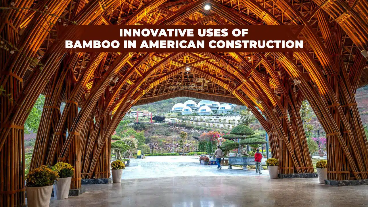 Bamboo In American Construction