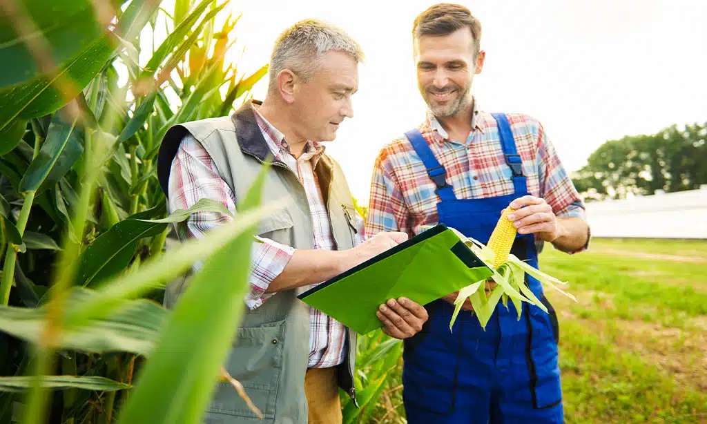 Crafting a Business Plan for Your Australian Farm