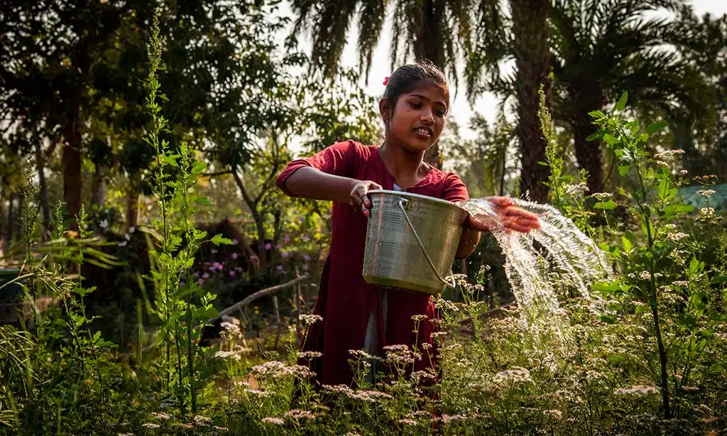 Efforts of WaterAid in Rainwater Harvesting