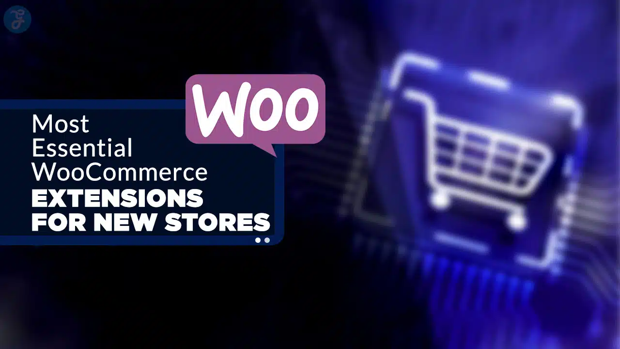 Essential WooCommerce Extensions