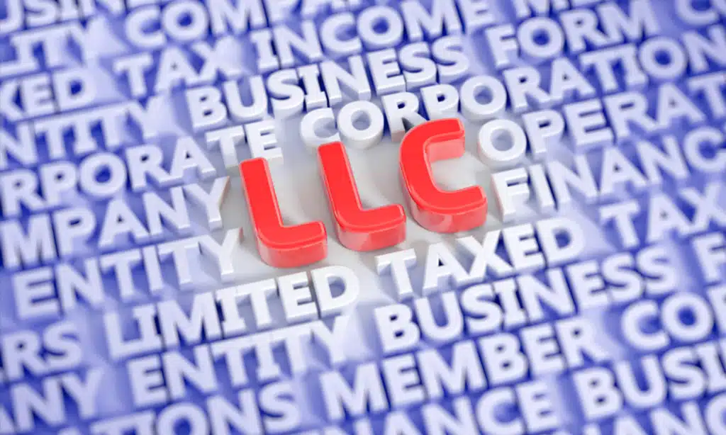 Form a Limited Liability Company (LLC)