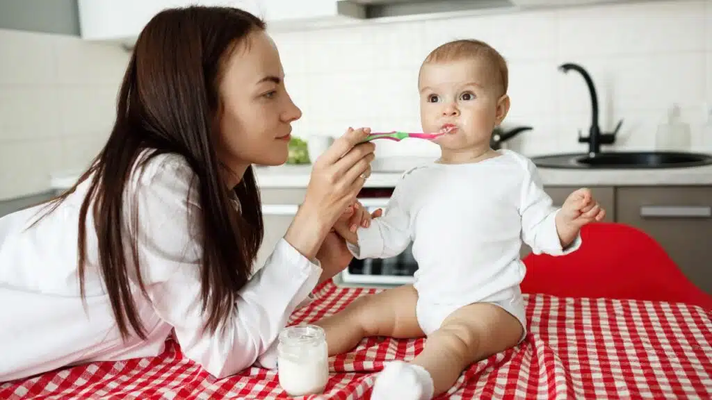 Holle Formula Stage 1