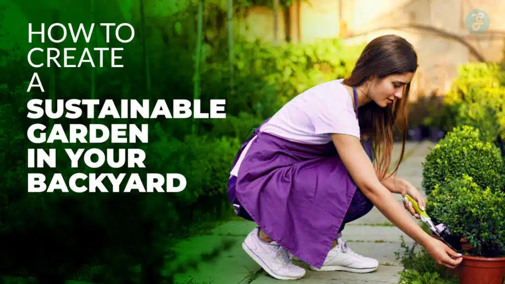 How to Create a Sustainable Garden