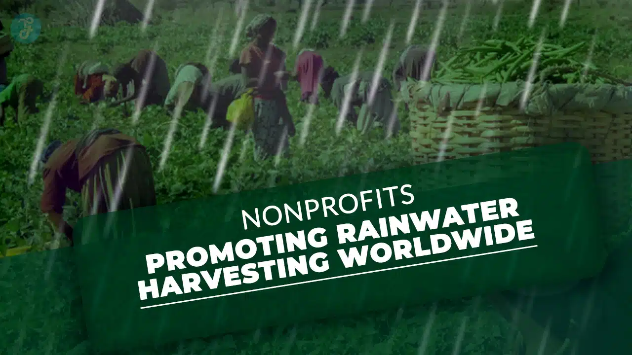 Nonprofits Promoting Rainwater Harvesting Worldwide