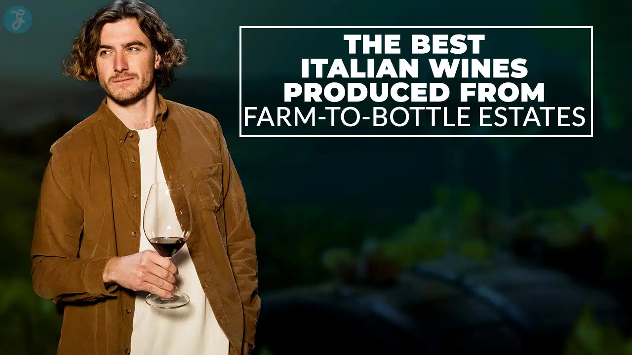Best Italian Wines from Farm-to-Bottle Estates