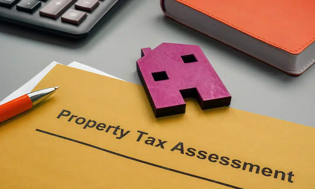 Understanding Tax Assessments