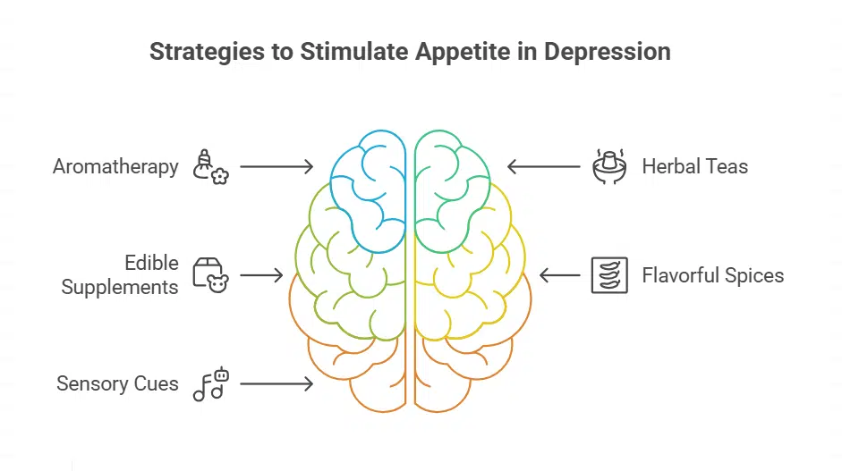 Unexpected Triggers That May Influence Appetite