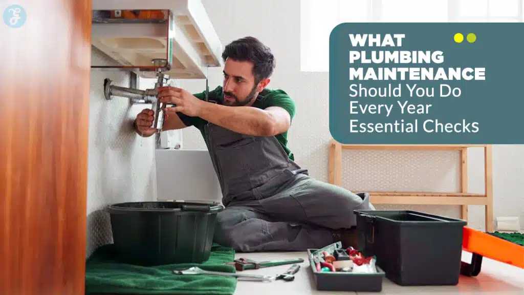 Annual Plumbing Maintenance Checks