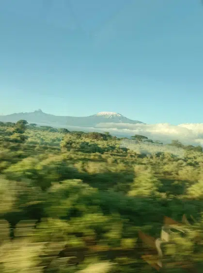 Where to witness the great migration