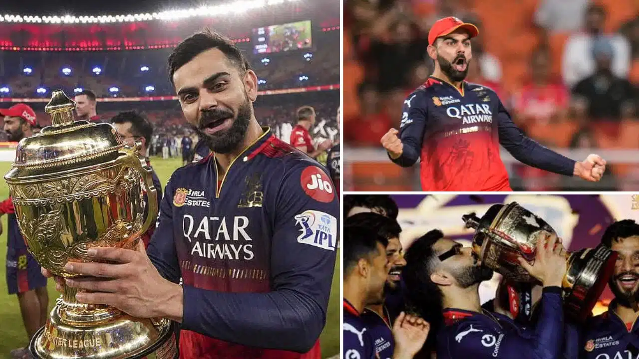 virat kohli ipl win celebrity reactions