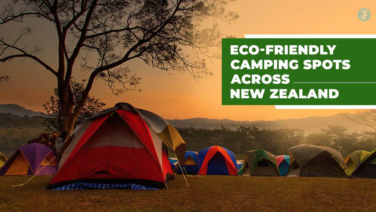 Eco-Friendly Camping Spots in New Zealand