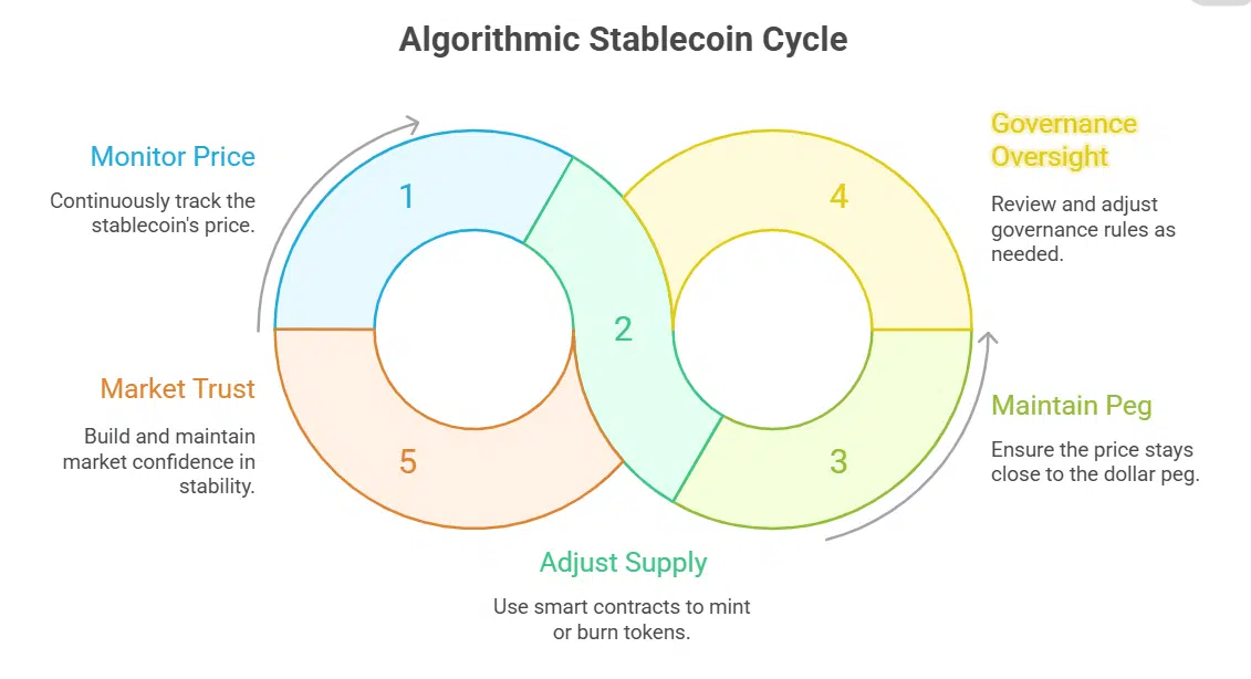 Algorithmic Stablecoins